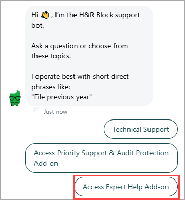 The Access Expert Help Add-on option is selected in the chat bot.