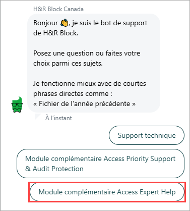 L’option Module complémentaire Access Expert Help est sélectionnée dans l’agent de clavardage.